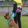 IMG_9383 (2)